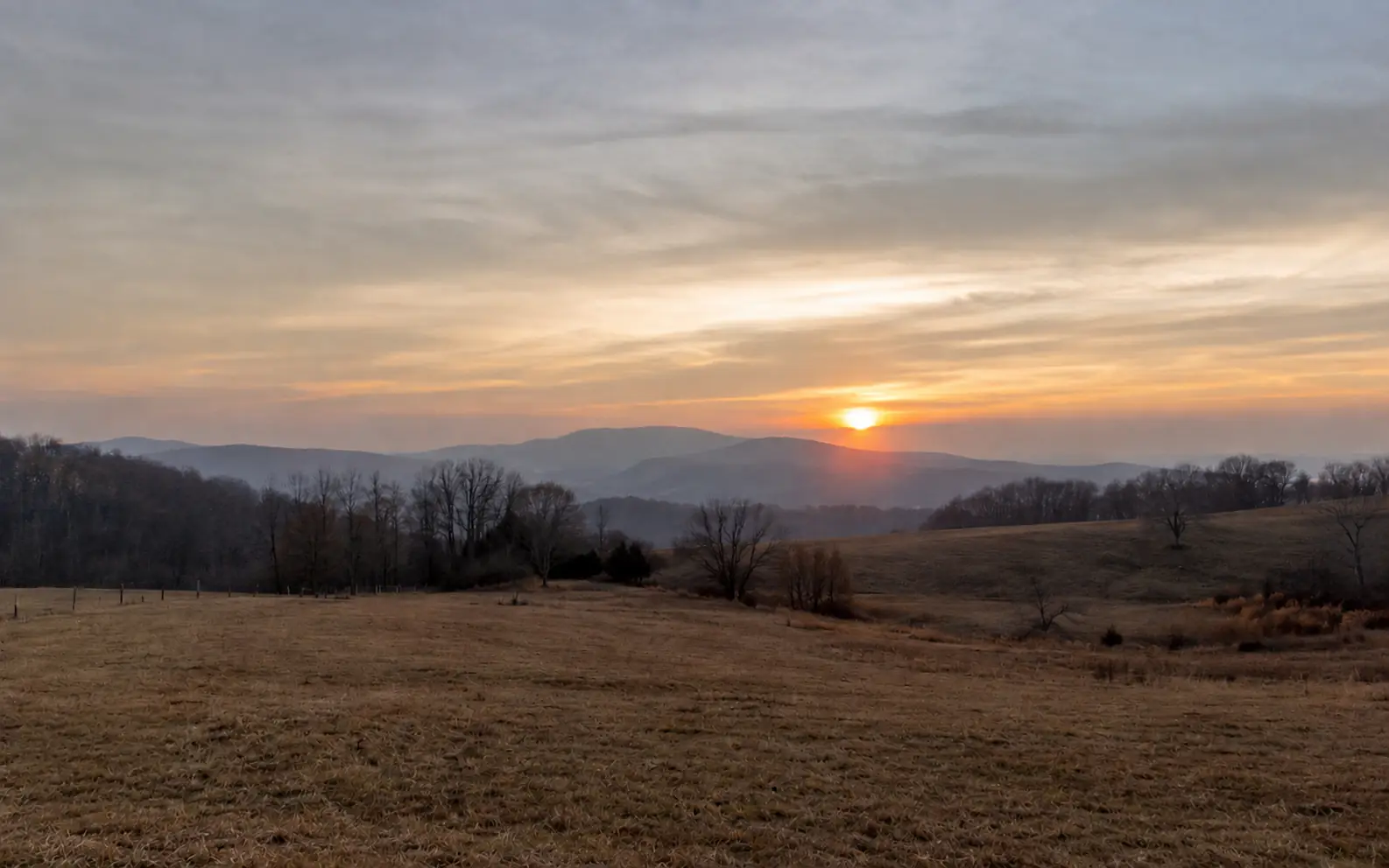 Before-and-after comparison of a circular logo stamp removed from a sunset field photo. result