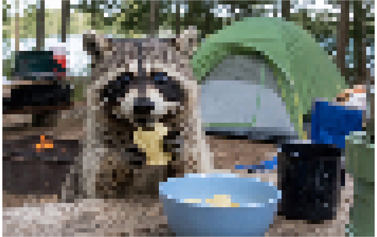 A clear surprised raccoon holding a potato chip compared with the same photo after pixelation. result